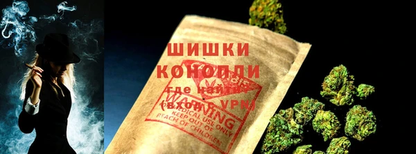амф Ладушкин