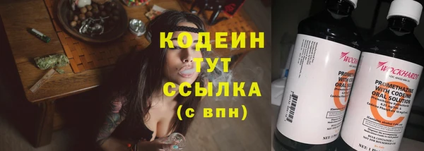 гашик Липки