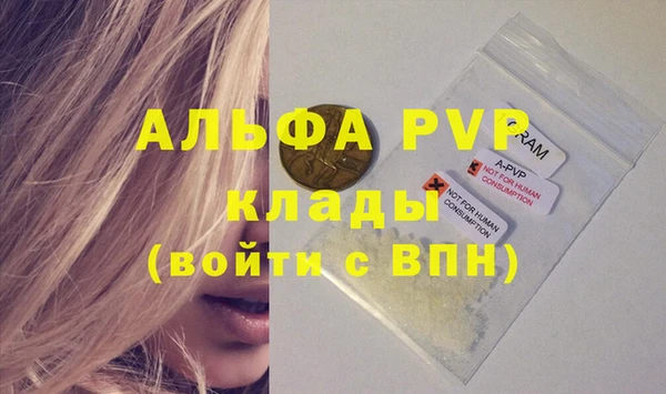 гашик Липки