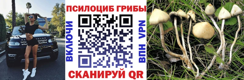 Галлюциногенные грибы мухоморы  дарнет шоп  Камышин 