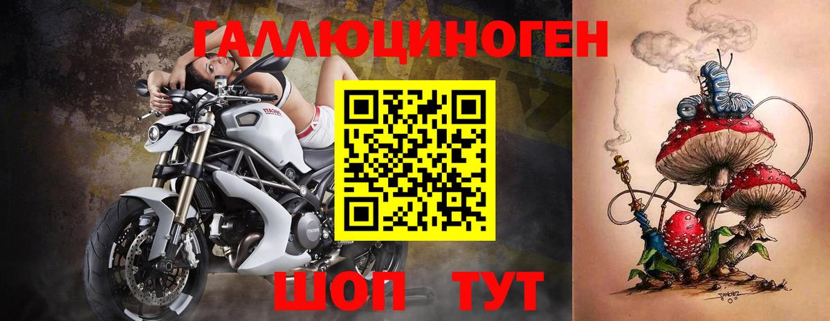 Галлюциногенные грибы прущие грибы Камышин
